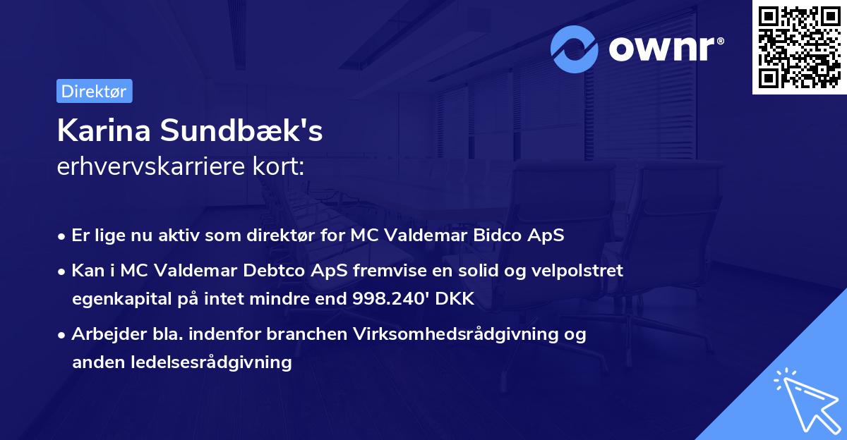 Karina Sundbæk's erhvervskarriere kort