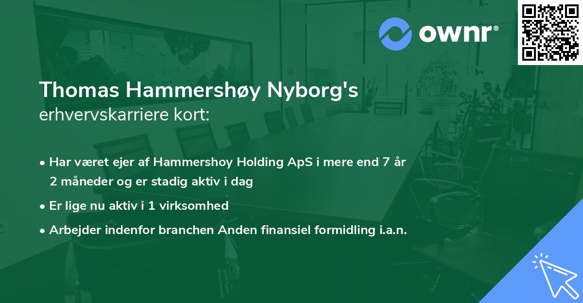 Thomas Hammershøy Nyborg's erhvervskarriere kort