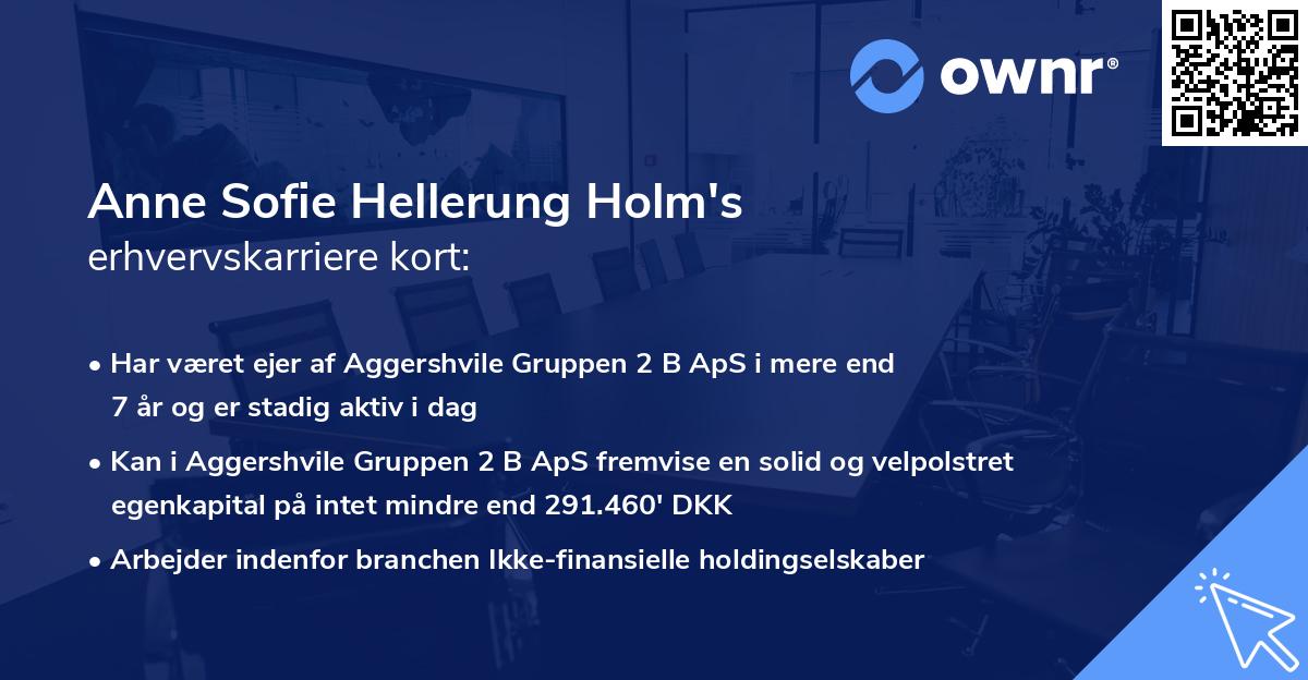 Anne Sofie Hellerung Holm's erhvervskarriere kort