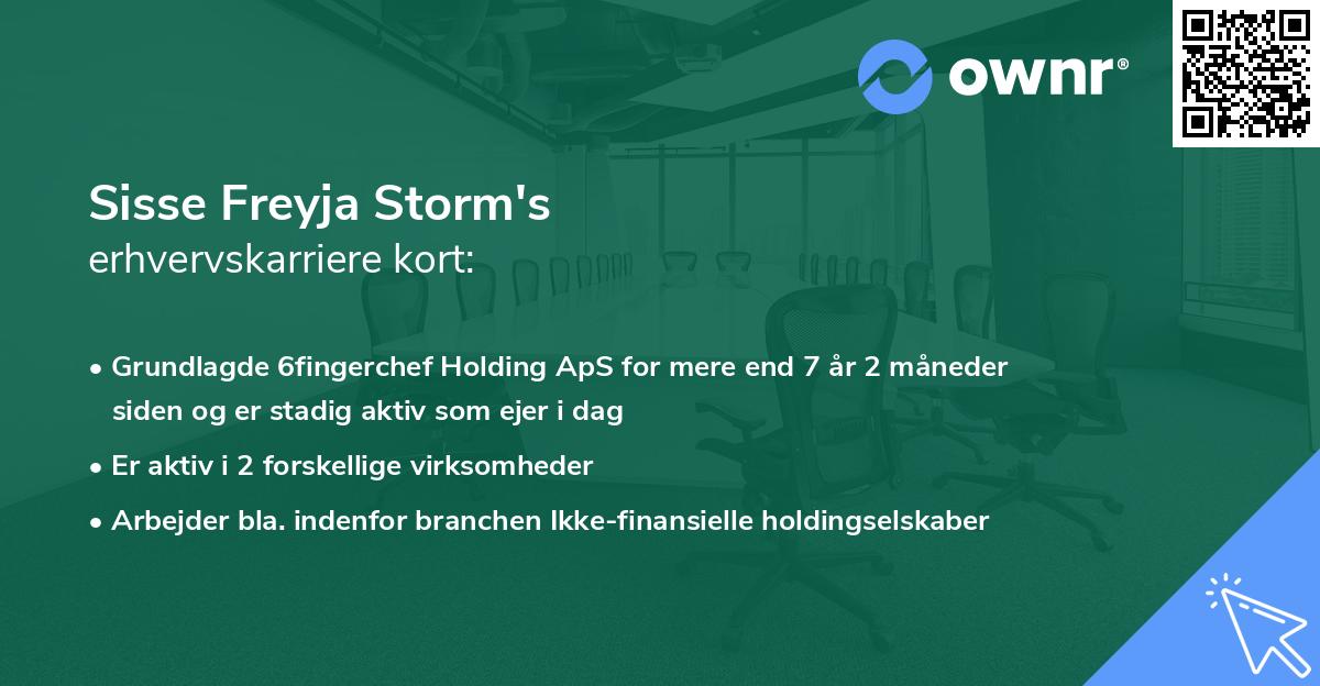 Sisse Freyja Storm's erhvervskarriere kort