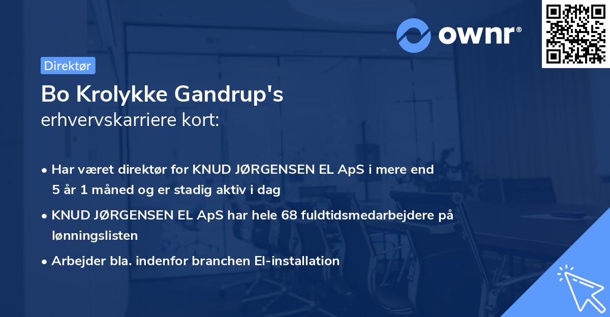 Bo Krolykke Gandrup's erhvervskarriere kort