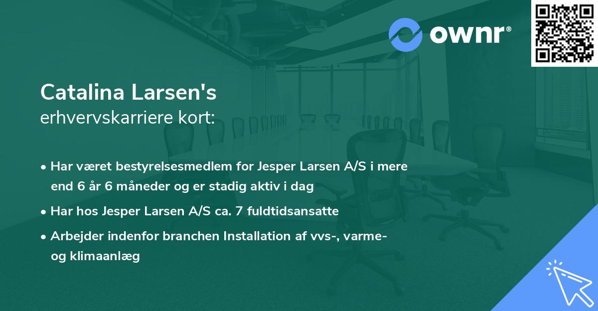 Catalina Larsen's erhvervskarriere kort