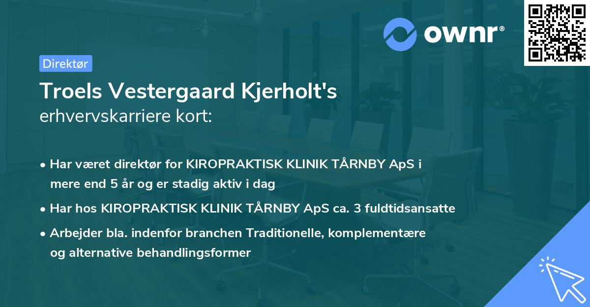 Troels Vestergaard Kjerholt's erhvervskarriere kort