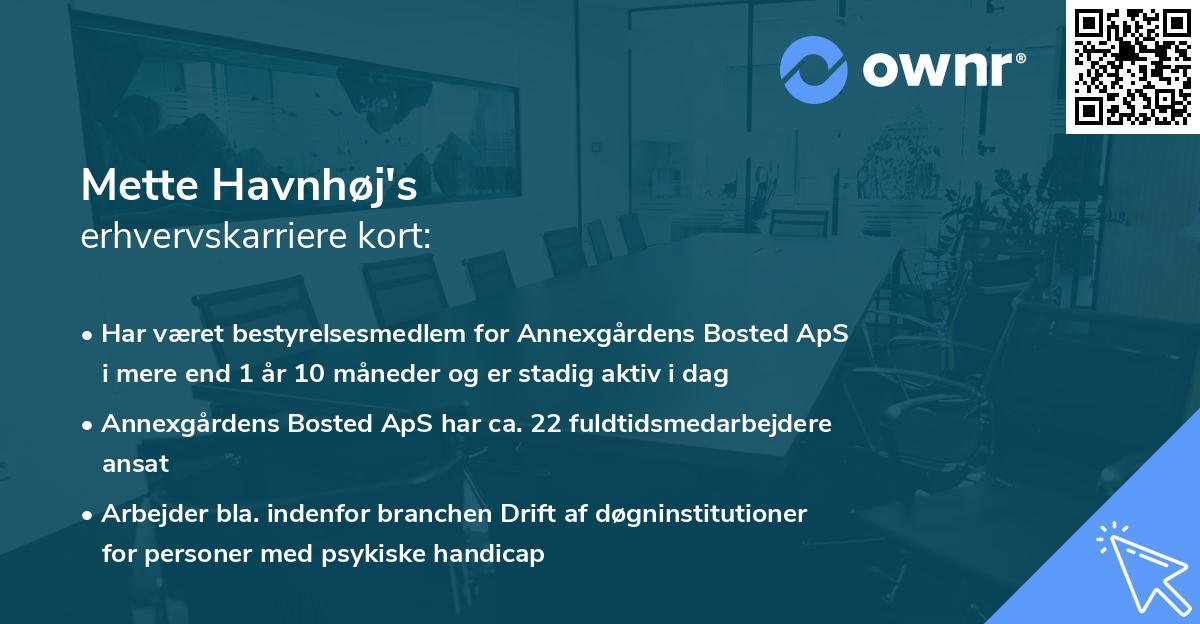 Mette Havnhøj's erhvervskarriere kort