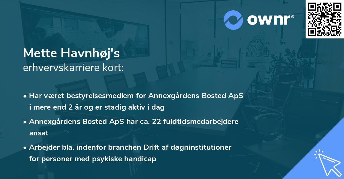 Mette Havnhøj's erhvervskarriere kort