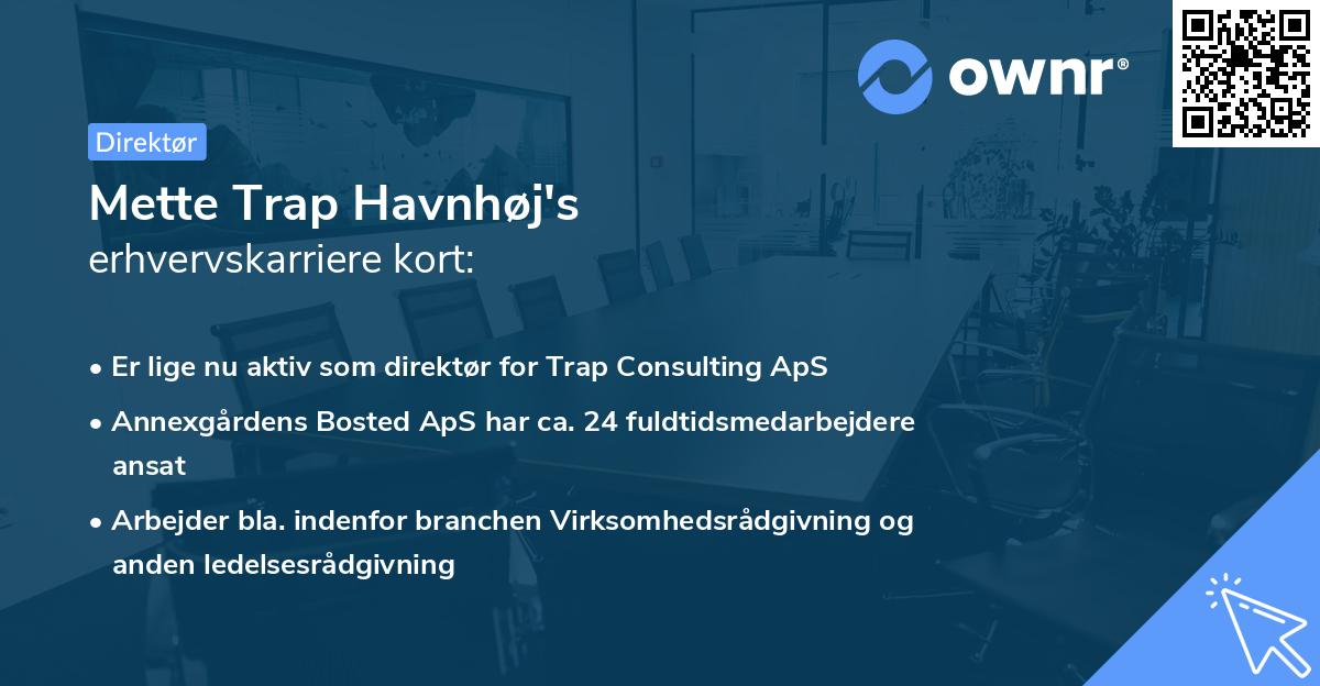 Mette Trap Havnhøj's erhvervskarriere kort