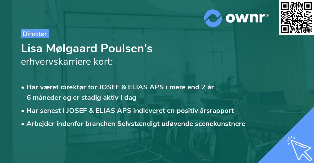 Lisa Mølgaard Poulsen's erhvervskarriere kort