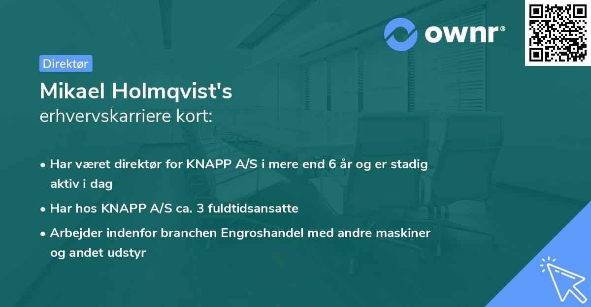 Mikael Holmqvist's erhvervskarriere kort