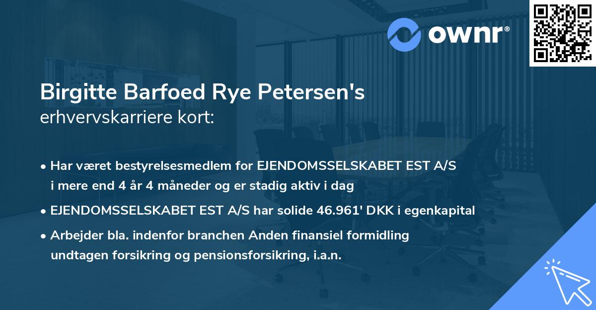 Birgitte Barfoed Rye Petersen's erhvervskarriere kort