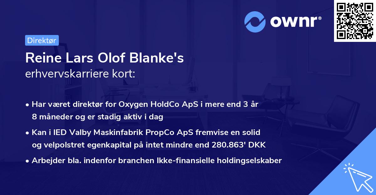 Reine Lars Olof Blanke's erhvervskarriere kort