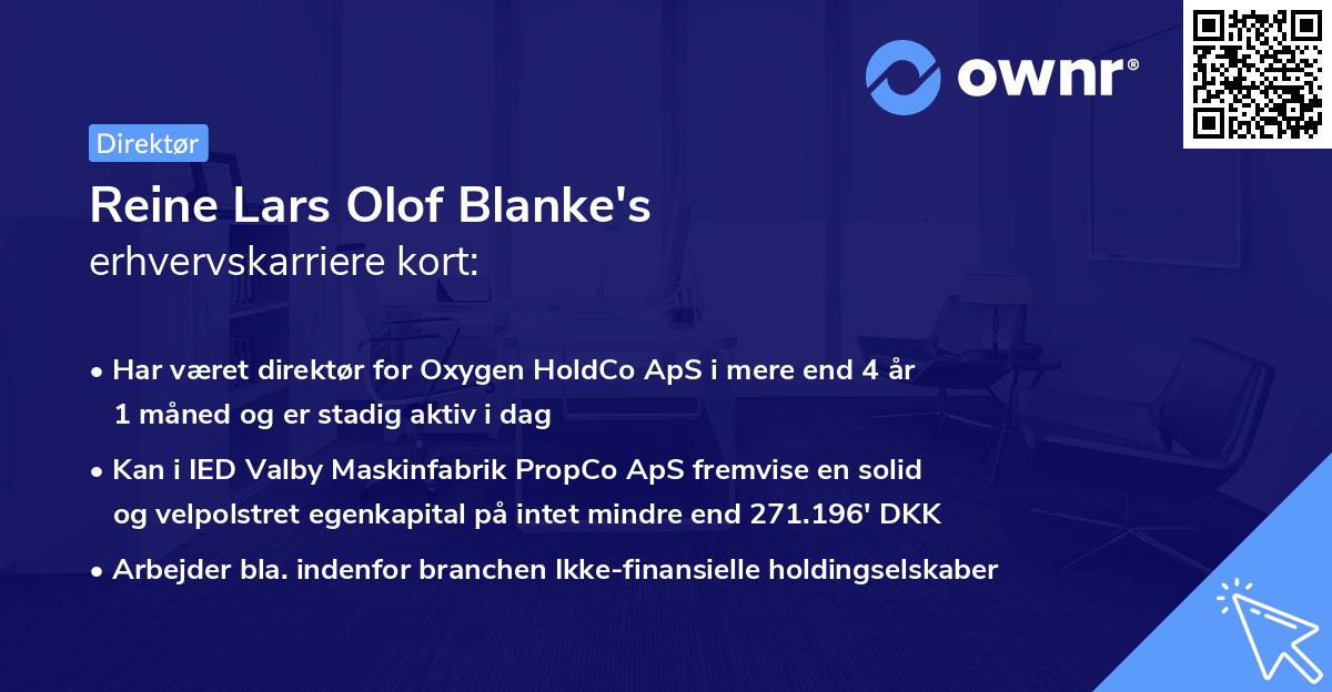 Reine Lars Olof Blanke's erhvervskarriere kort