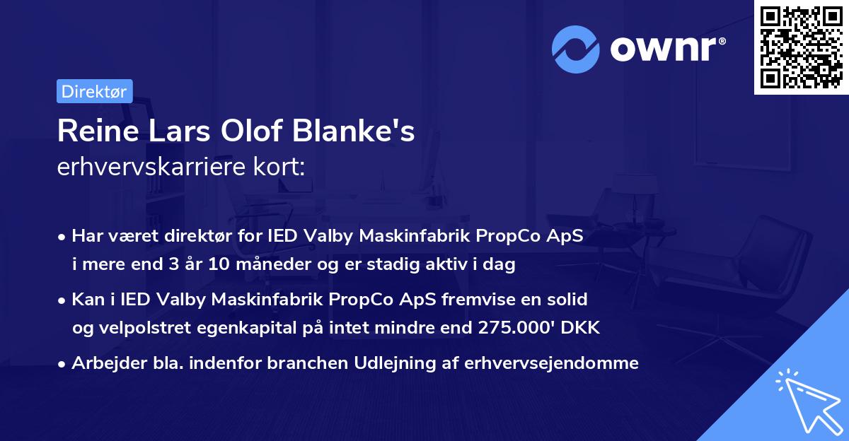 Reine Lars Olof Blanke's erhvervskarriere kort