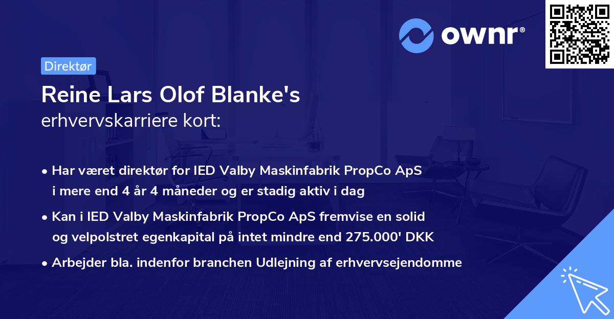 Reine Lars Olof Blanke's erhvervskarriere kort