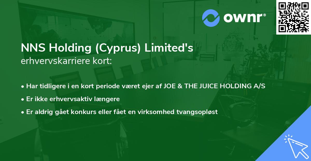 NNS Holding (Cyprus) Limited's erhvervskarriere kort