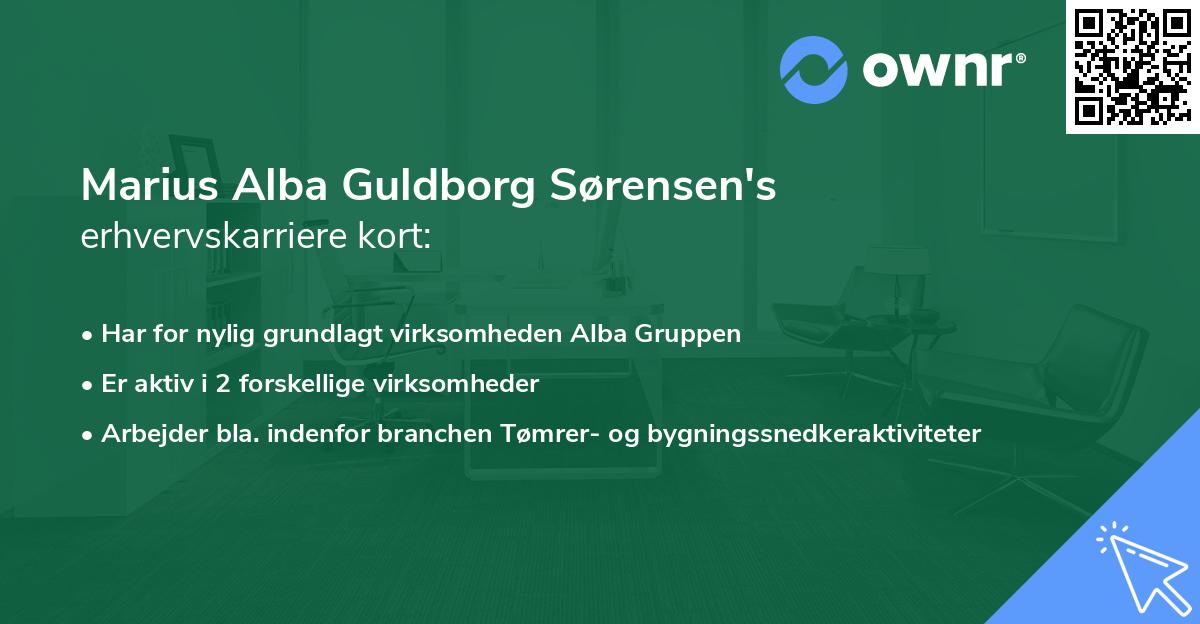 Marius Alba Guldborg Sørensen's erhvervskarriere kort