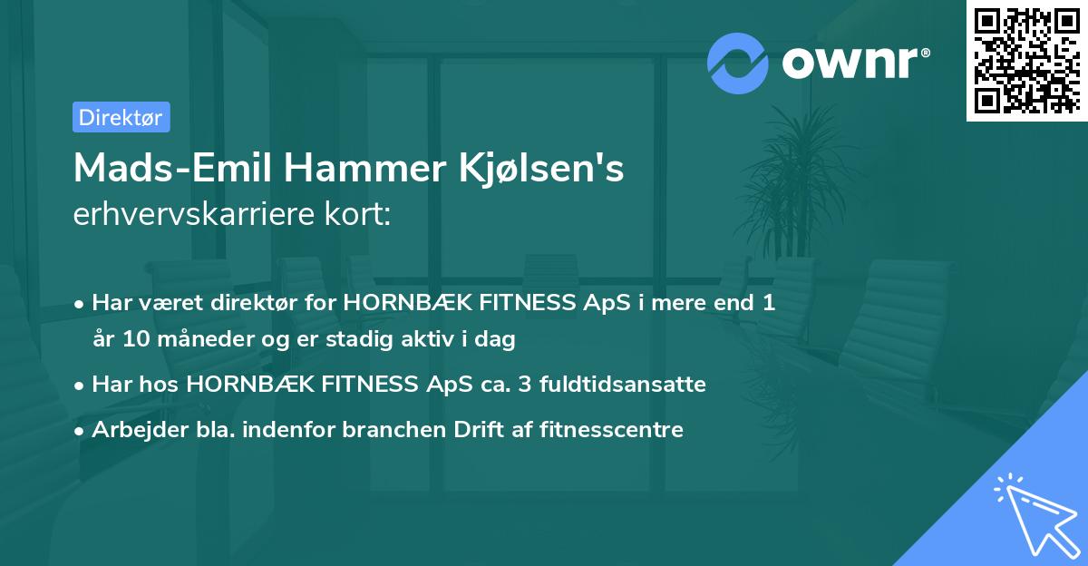 Mads-Emil Hammer Kjølsen's erhvervskarriere kort