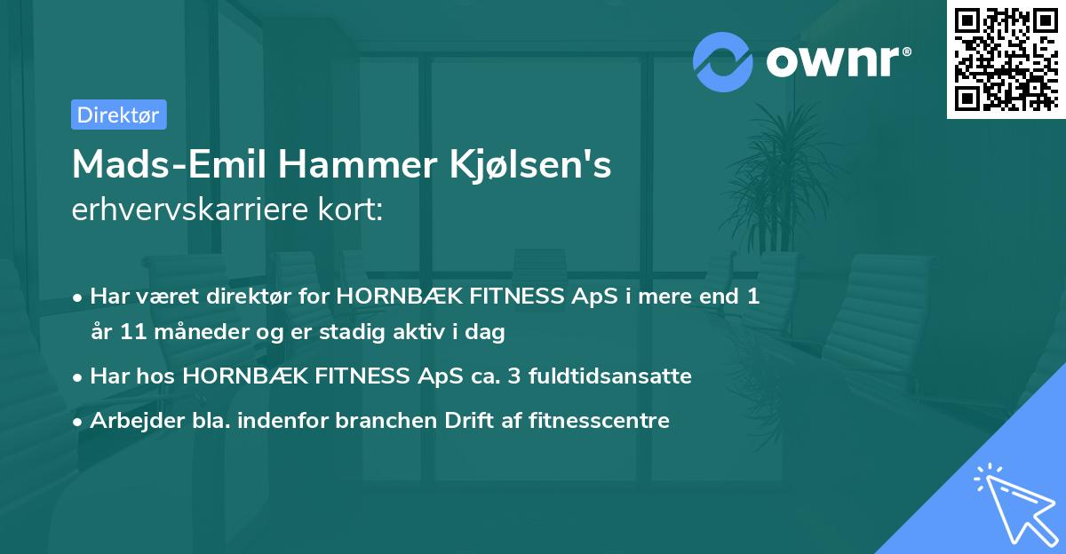 Mads-Emil Hammer Kjølsen's erhvervskarriere kort