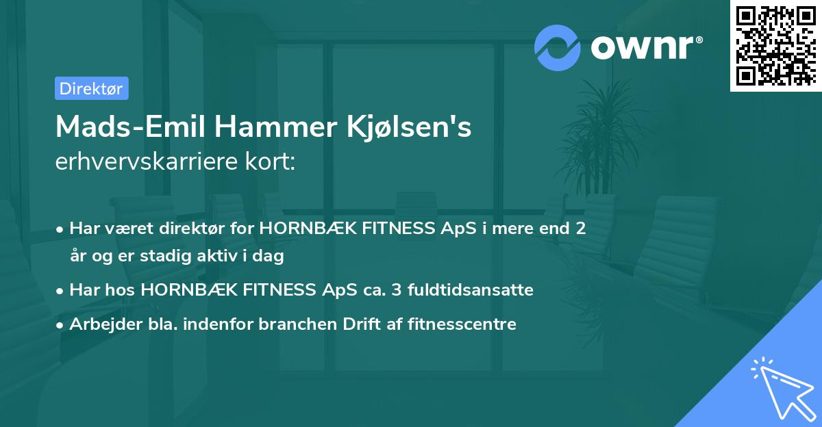 Mads-Emil Hammer Kjølsen's erhvervskarriere kort