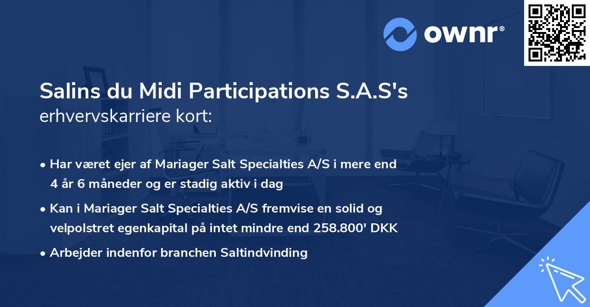 Salins du Midi Participations S.A.S's erhvervskarriere kort