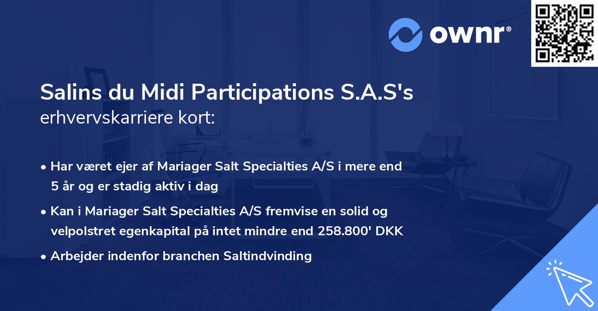 Salins du Midi Participations S.A.S's erhvervskarriere kort