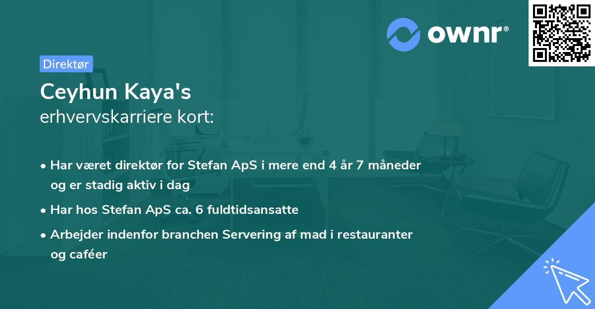 Ceyhun Kaya's erhvervskarriere kort