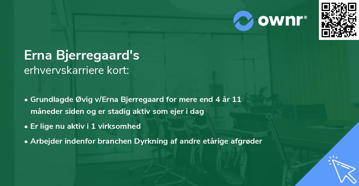 Erna Bjerregaard's erhvervskarriere kort