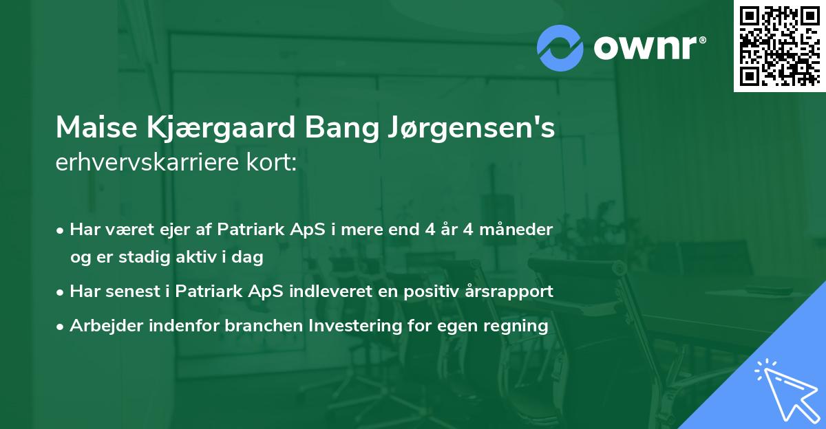 Maise Kjærgaard Bang Jørgensen's erhvervskarriere kort