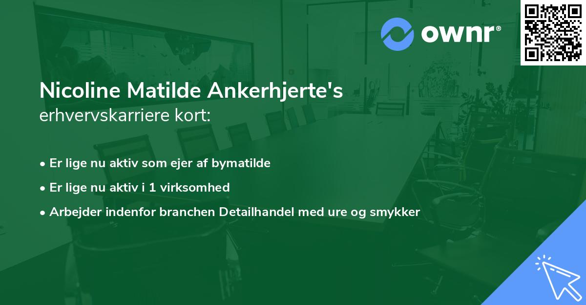 Nicoline Matilde Ankerhjerte's erhvervskarriere kort