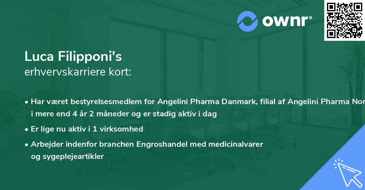 Luca Filipponi's erhvervskarriere kort