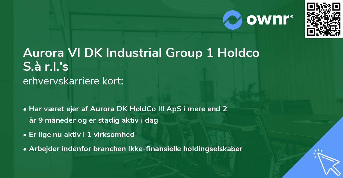 Aurora VI DK Industrial Group 1 Holdco S.à r.l.'s erhvervskarriere kort