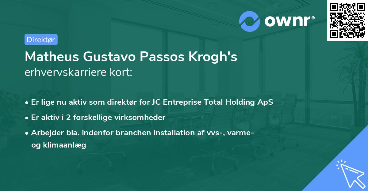 Matheus Gustavo Passos Krogh's erhvervskarriere kort
