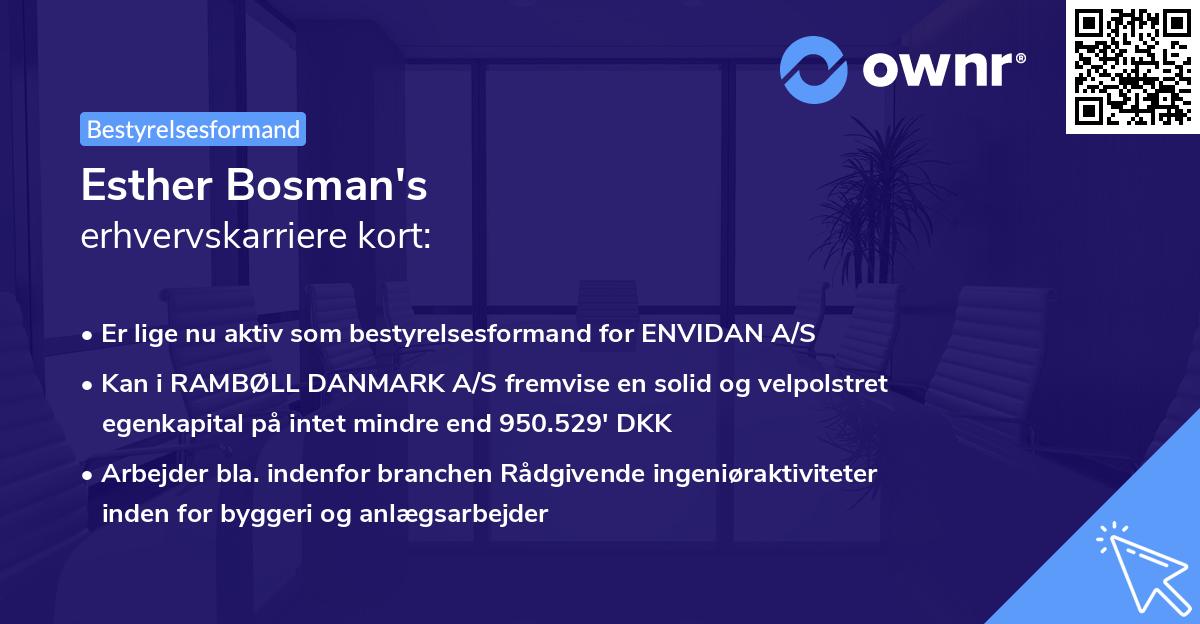 Esther Bosman's erhvervskarriere kort