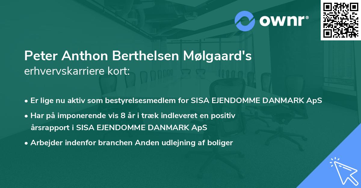 Peter Anthon Berthelsen Mølgaard's erhvervskarriere kort