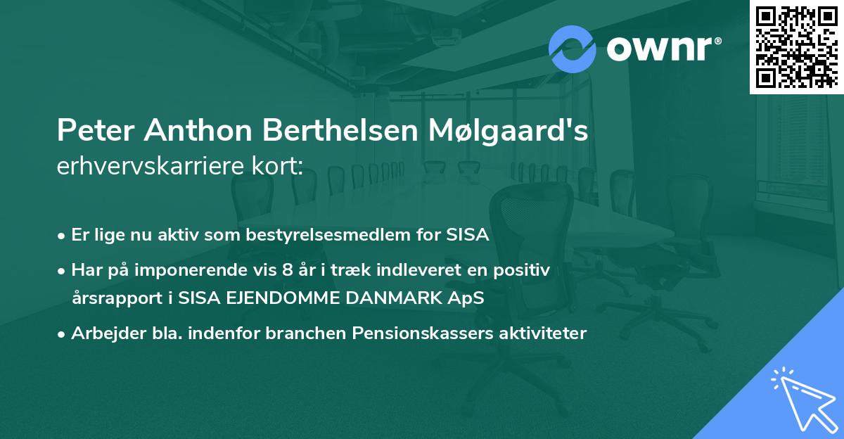 Peter Anthon Berthelsen Mølgaard's erhvervskarriere kort