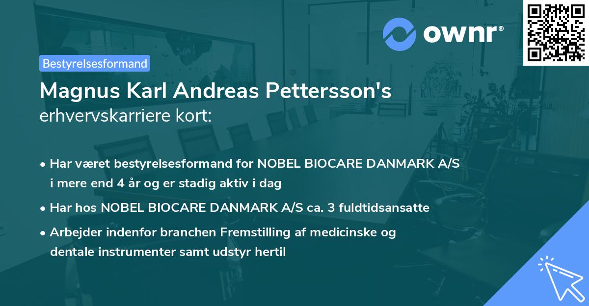 Magnus Karl Andreas Pettersson's erhvervskarriere kort