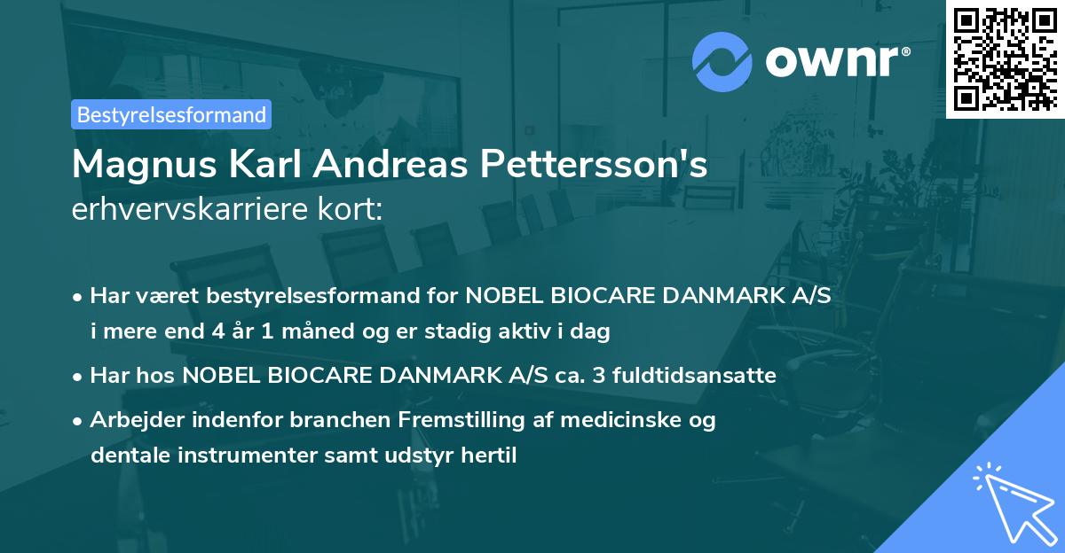 Magnus Karl Andreas Pettersson's erhvervskarriere kort