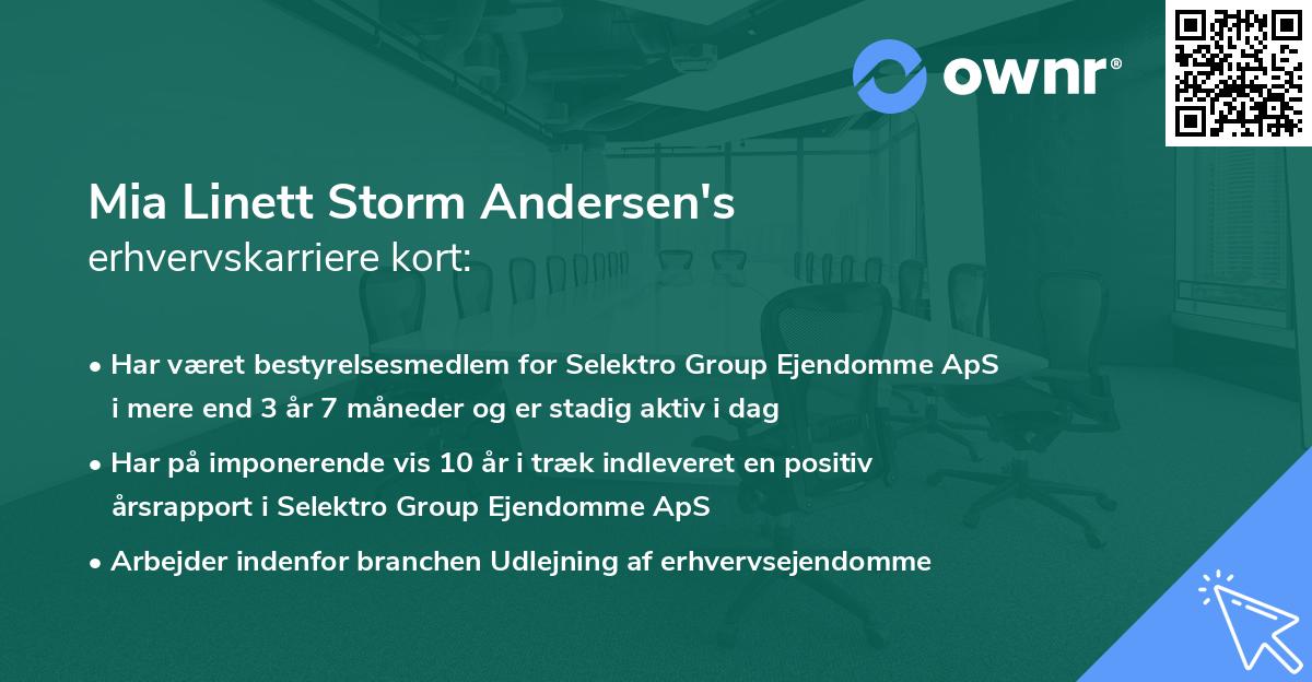 Mia Linett Storm Andersen's erhvervskarriere kort
