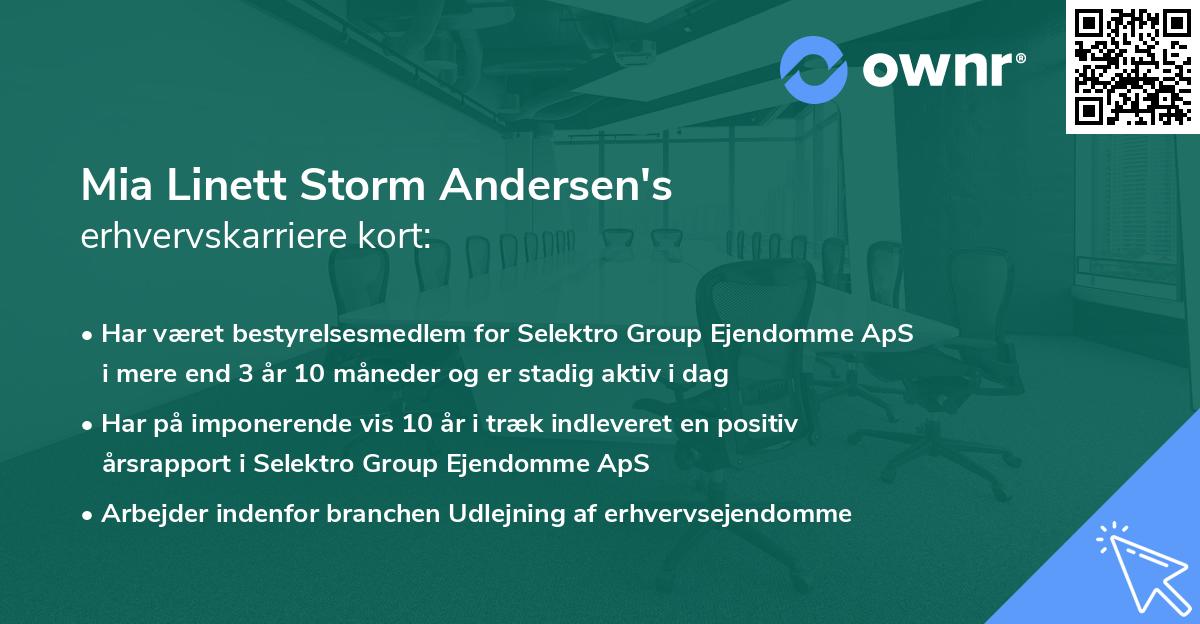 Mia Linett Storm Andersen's erhvervskarriere kort