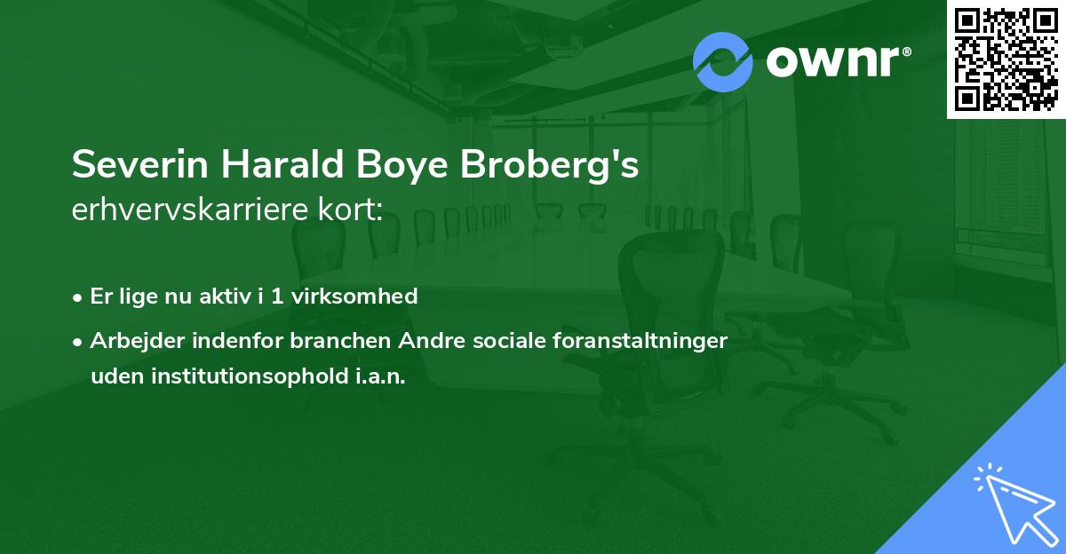 Severin Harald Boye Broberg's erhvervskarriere kort