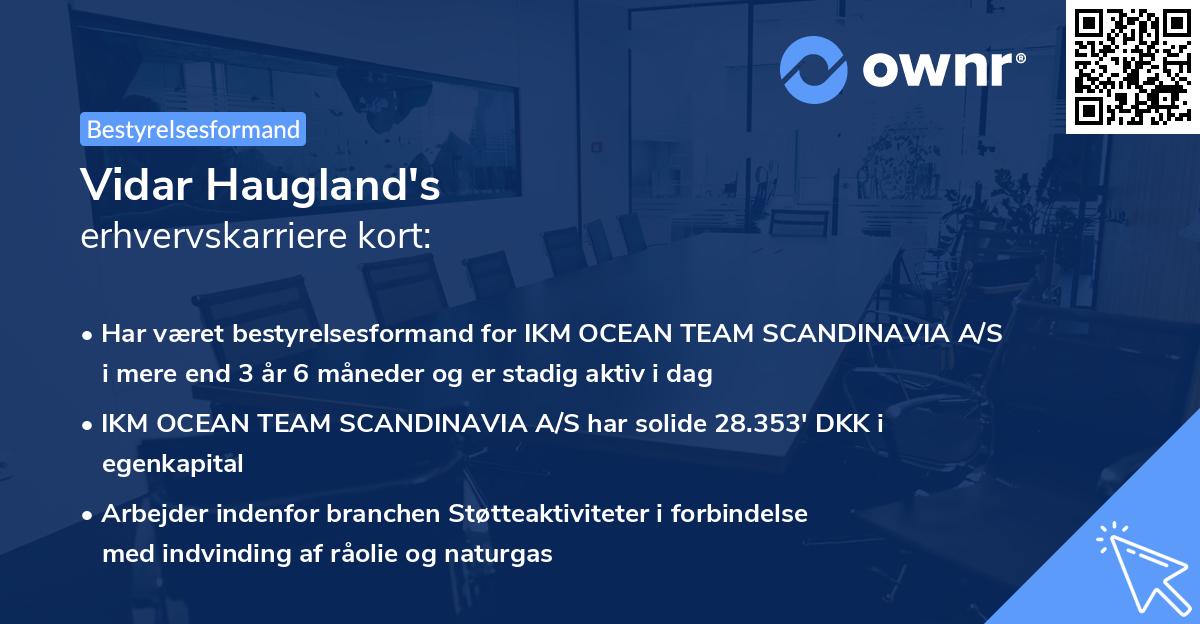 Vidar Haugland's erhvervskarriere kort