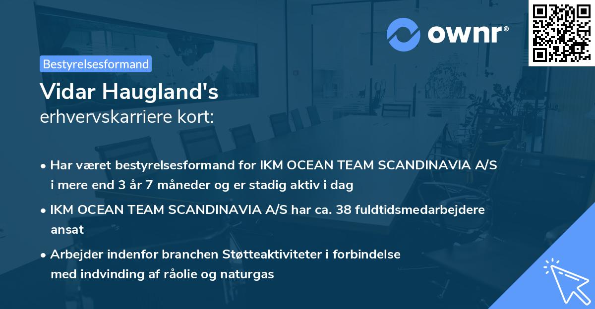 Vidar Haugland's erhvervskarriere kort