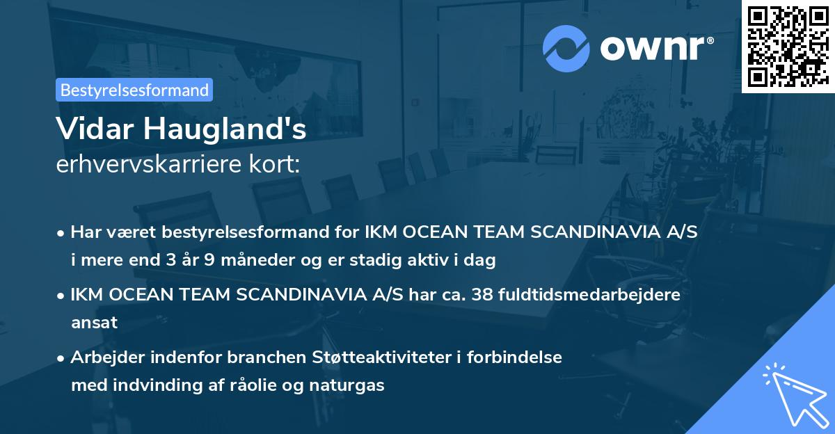Vidar Haugland's erhvervskarriere kort