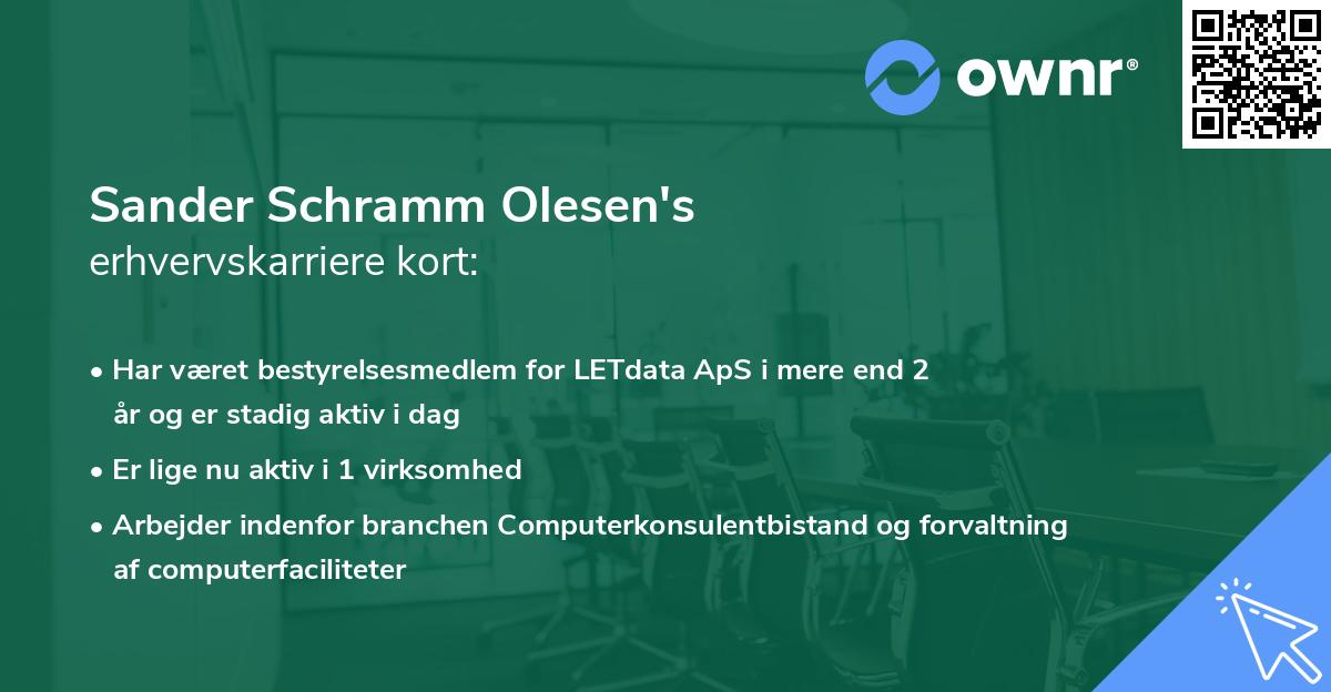Sander Schramm Olesen's erhvervskarriere kort