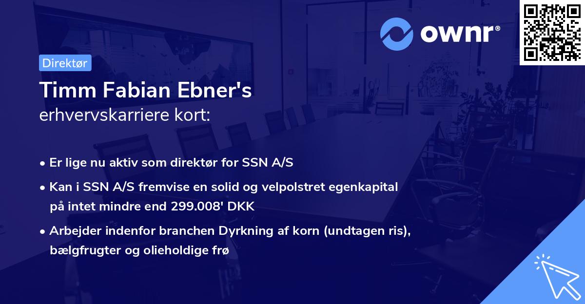 Timm Fabian Ebner's erhvervskarriere kort