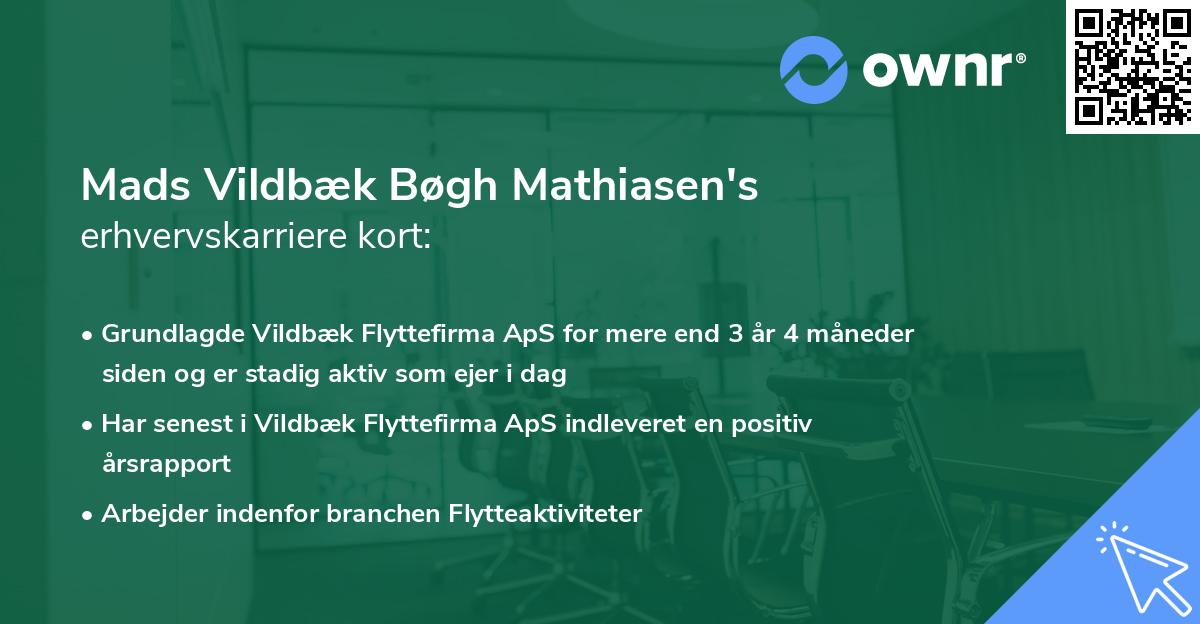 Mads Vildbæk Bøgh Mathiasen's erhvervskarriere kort
