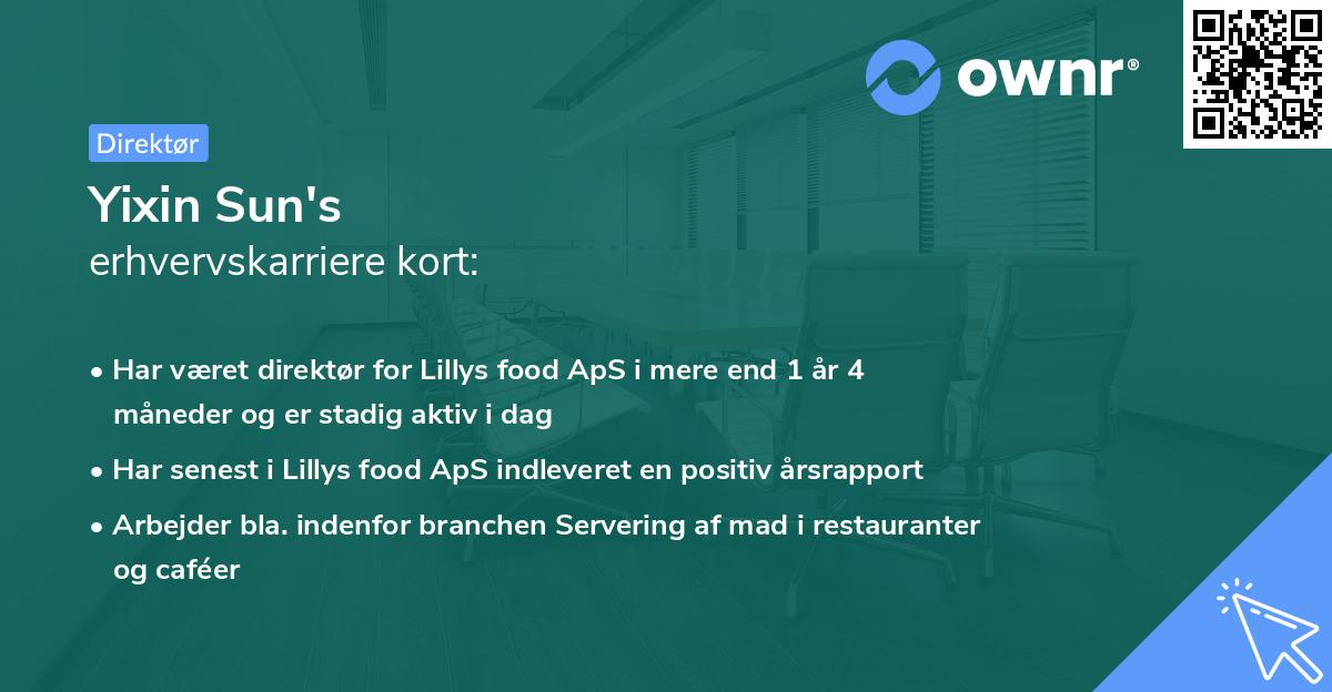 Yixin Sun's erhvervskarriere kort