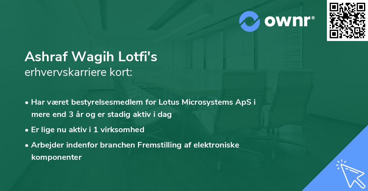 Ashraf Wagih Lotfi's erhvervskarriere kort