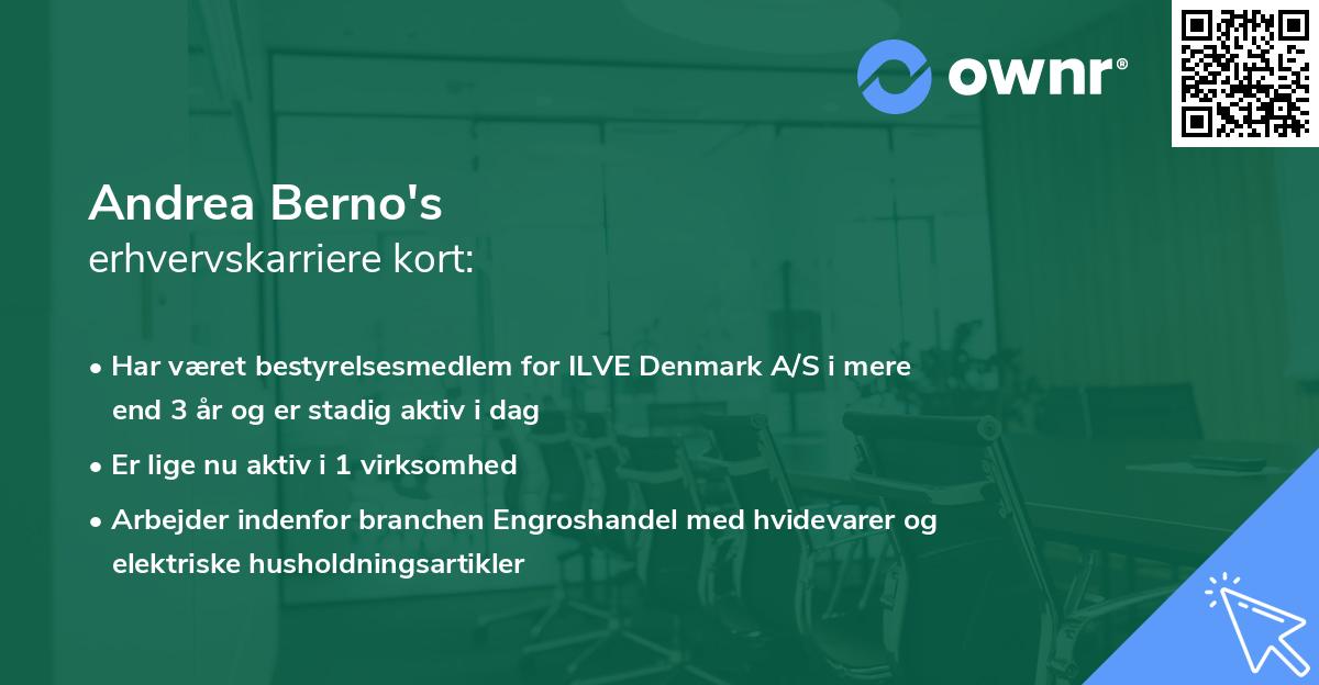 Andrea Berno's erhvervskarriere kort