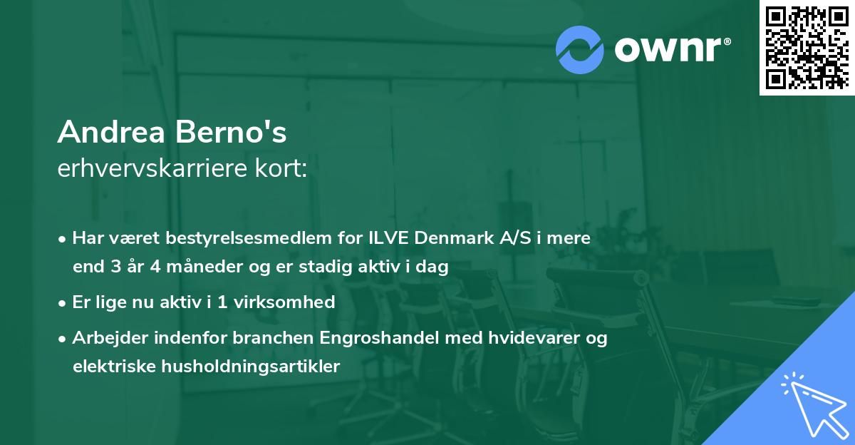 Andrea Berno's erhvervskarriere kort