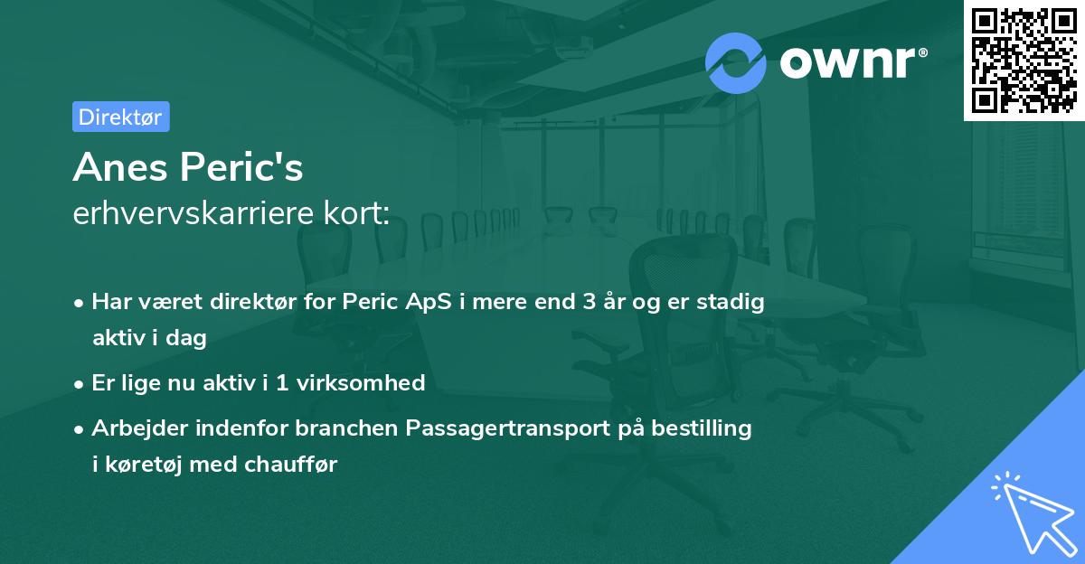 Anes Peric's erhvervskarriere kort